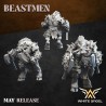 BEAST BOAR WARRIOR x10 | White Angels | Beastmen
