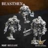 BEAST BOAR WARRIOR x10 | White Angels | Beastmen