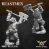 BEAST BOAR WARRIOR x10 | White Angels | Beastmen