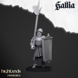 Gallia Men at Arms x 7 + cmd - druk 3d - Bigusson - Highlands Miniatures