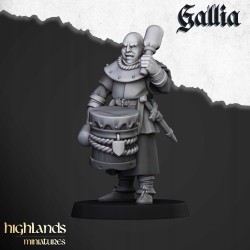 Gallia Men at Arms x 7 + cmd - druk 3d - Bigusson - Highlands Miniatures